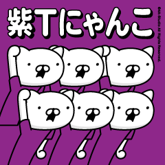 Purple T-CAT(every day)