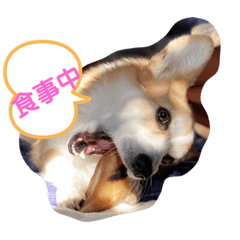 ニコマルコと仲間たちのスタンプ