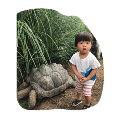 SAK_20200913210454