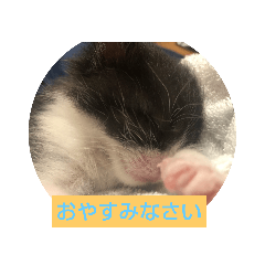 tonton_20200913225859