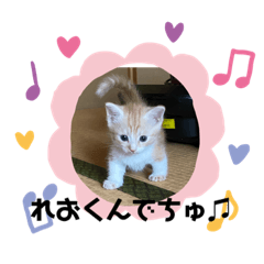 alice_20200913234554