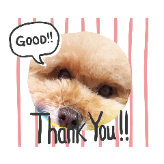 duffymaron._20200913211027