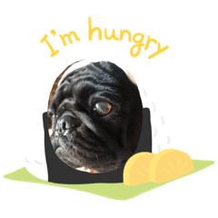 mochi_20200913205208