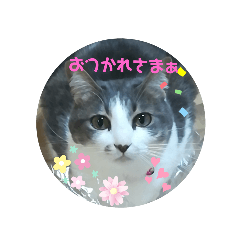 Hana_20200914003429