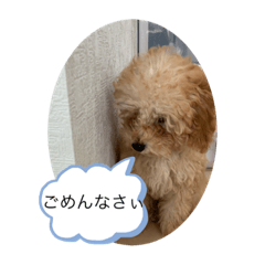 可愛いニコ