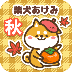 Shiba Akemi in Autumn 2