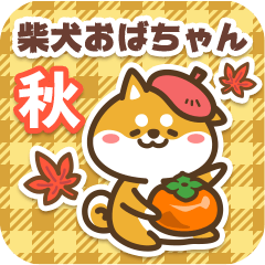 Shiba Obachan in Autumn 2