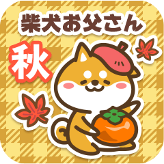 Shiba Father in Autumn 2