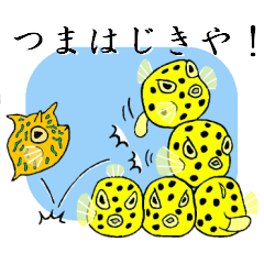 The day of the Boxfish