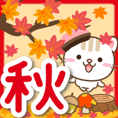 Natural cat, moving autumn japan