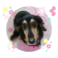 niko-niko_20200914180210