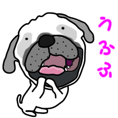 Motion sticker of pug dog