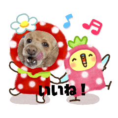 Risa_20200914202105