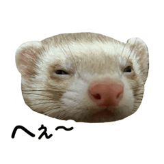 nanami_20200914203754