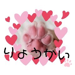 satoshi_20200915003358