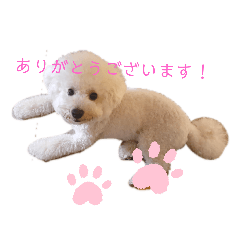 mamekichi2020