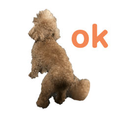 nanami_20200914212357