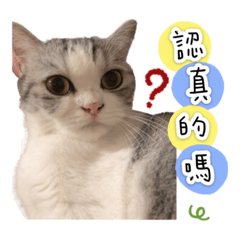 萌萌菲菲大冒險