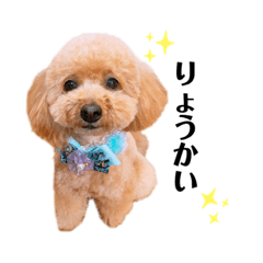 haruna_20200914223735