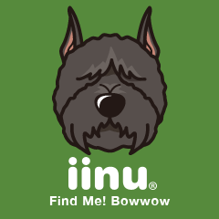 iinu ブービエ・デ・フランダース