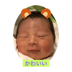 kokoko_20200915000352