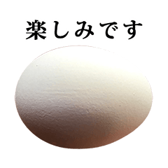 tamago egg 4