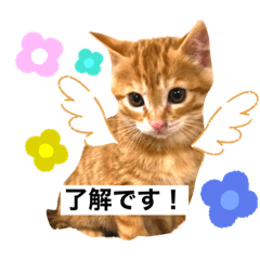 REI_20200915000350
