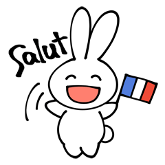 France rabbit Robert