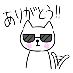 cat with sunglasses all seasons