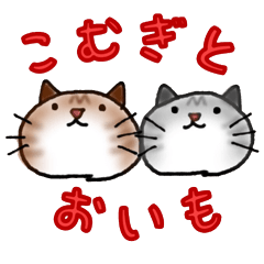 Bromance cats Komugi and Oimo
