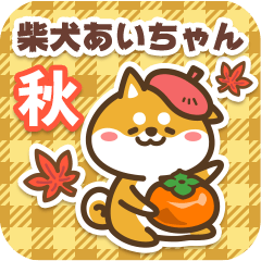 Shiba Aichan in Autumn 2