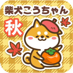 Shiba Kouchan in Autumn 2