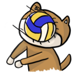 Shiba inu is playing volleyball