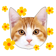 Various orange and white tabby cats