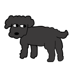 It's a toy poodle, but what? part3