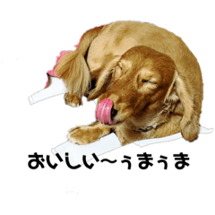 Asuka_20200915181732