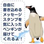 18 kinds of Penguin in the world
