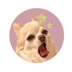 Sheri stickers__coton