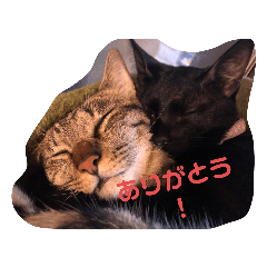 RINGO_20200915164128