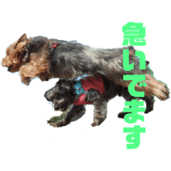 Michiko_20200915165601