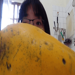 Extra large papaya