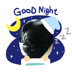 mochi_20200915202219