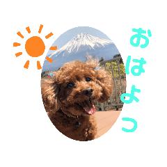 Saya_20200915234604