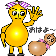 The Gourd family