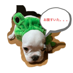 tomosait_20200915195842