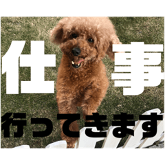 ken_20200915191646