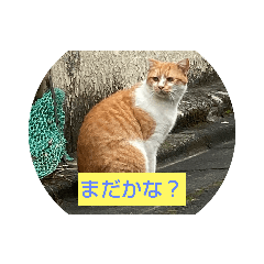 tonton_20200916100308