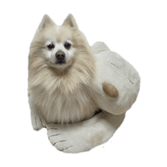 yurina_20200916001708