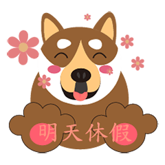 Shiba Inu 0915