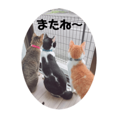 ayumi_20200916121718